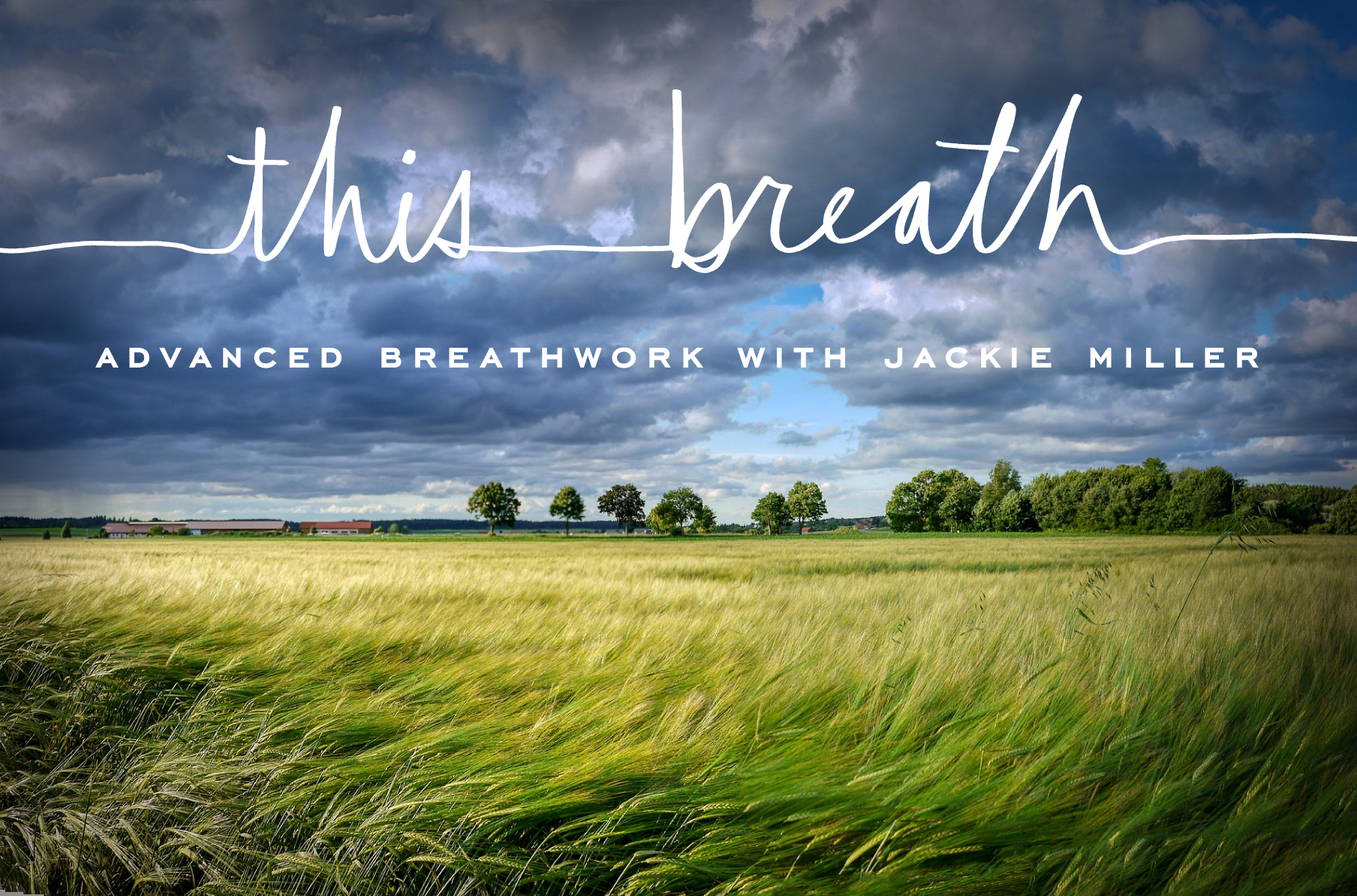This Breath: Advanced Breathwork with Jackie Miller